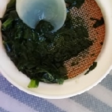 冷凍ほうれん草から作るピューレ 離乳食初期 レシピ 作り方 By 美麗 楽天レシピ 冷凍ほうれん草から作るピューレ 離乳食初期 レシピ 作り方 By 美麗 楽天レシピ